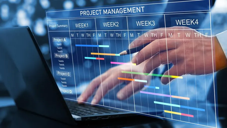 project management rogo